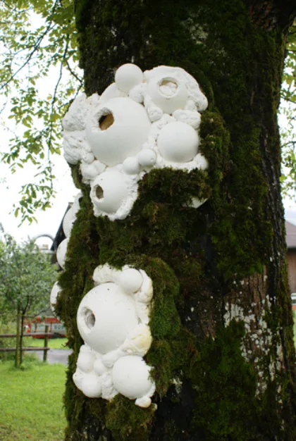 Frohussicht palla arrangement2