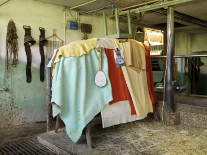 Frohussicht farmer04